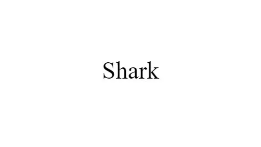 Shark